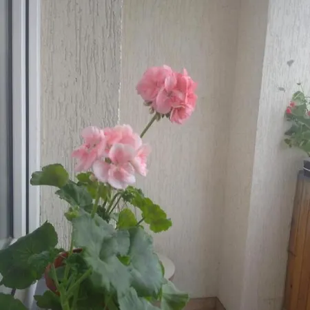 New Apartment: Modern Living Near Stryi Scientific Hub *